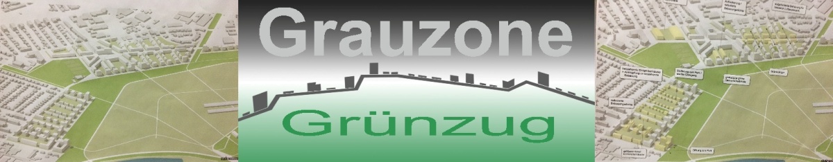 Grauzone-Gruenzug